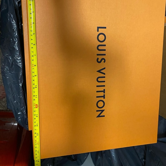 Louis Vuitton dust bag main image 6